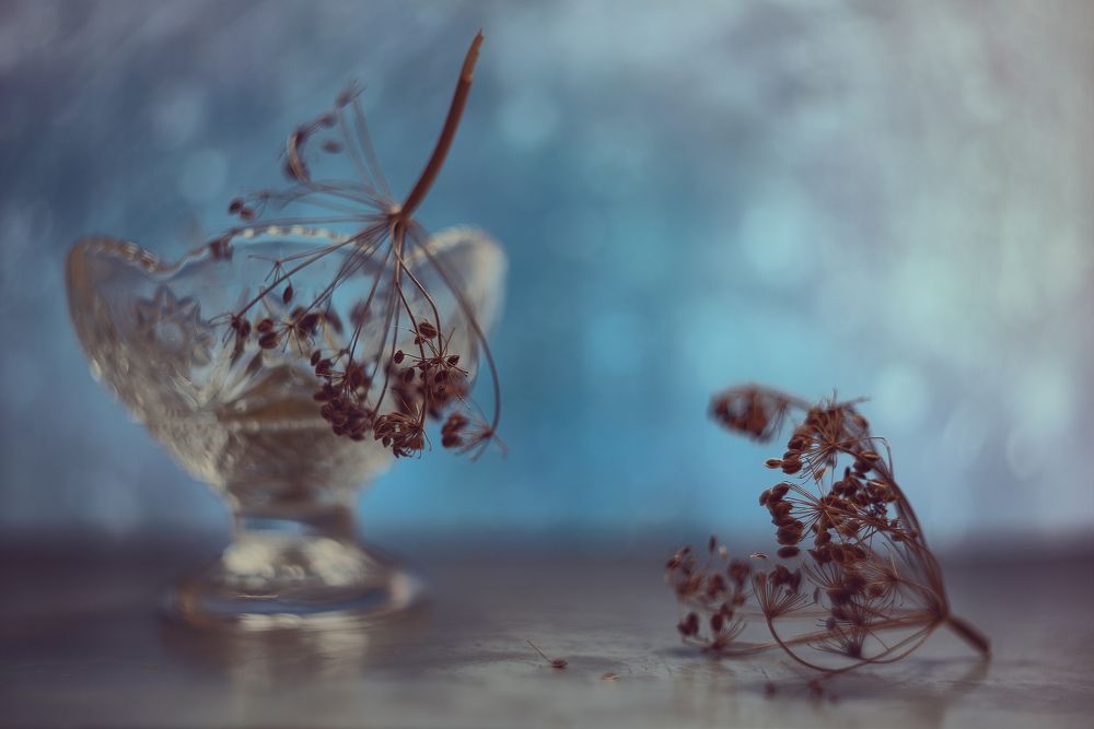 Фотография автора Вячеслав Владимирович