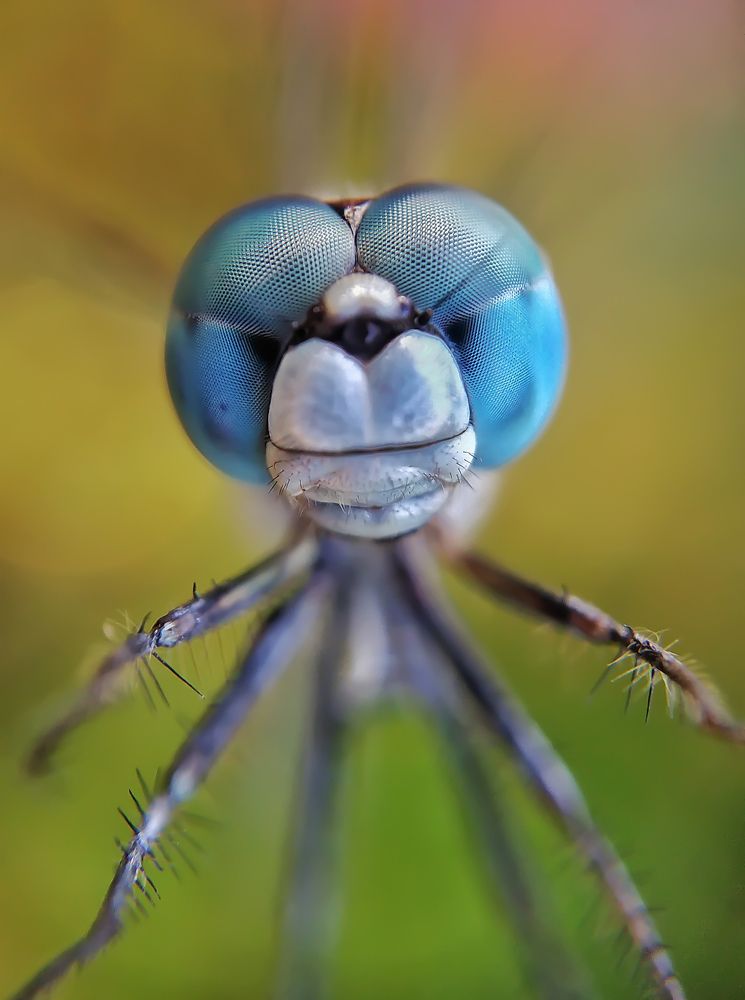 Фотография автора ISLAM SK RIYAJUL