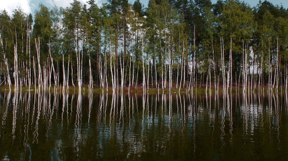 Photograph by вячеслав милов