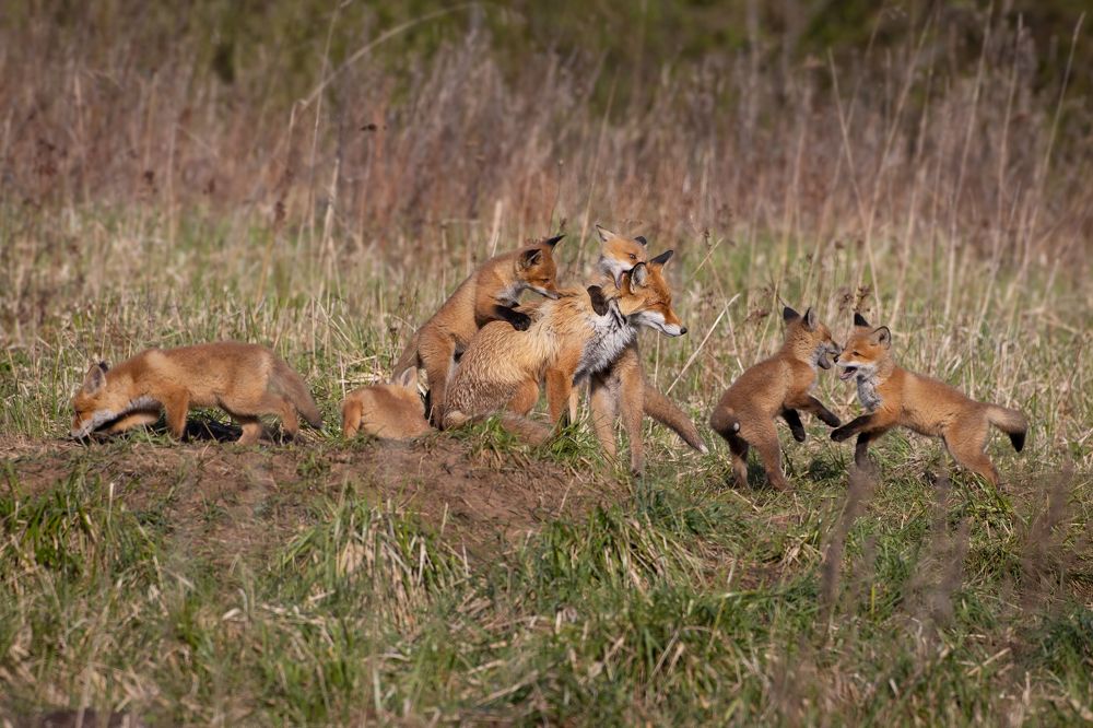 Photograph by Алексей Петров