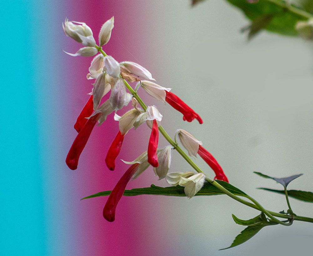 Photograph by unfold tech