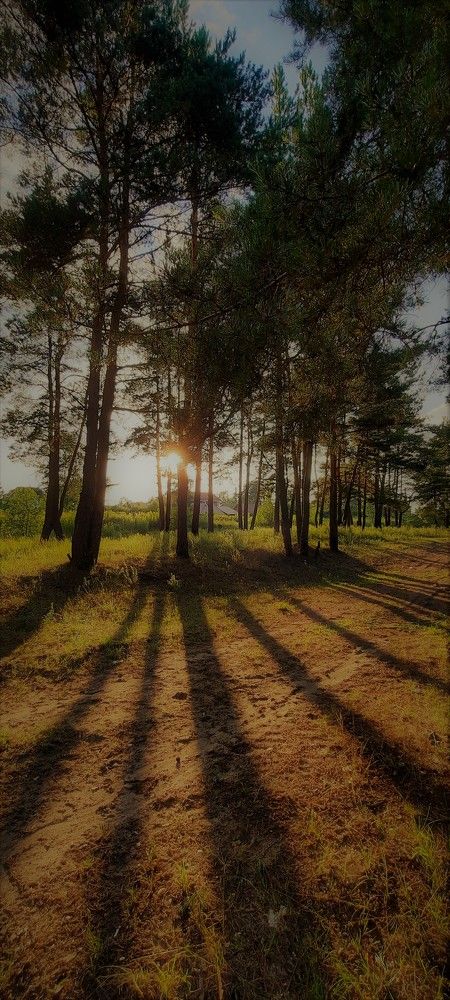 Photograph by Марина Игнатьева