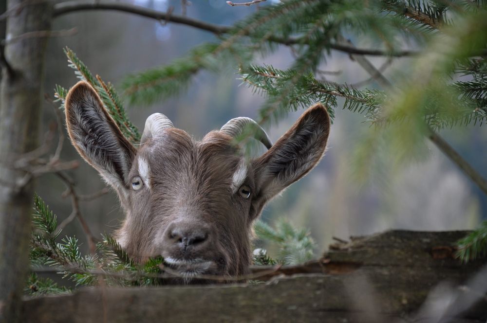 Фотография автора Ольга Кудина