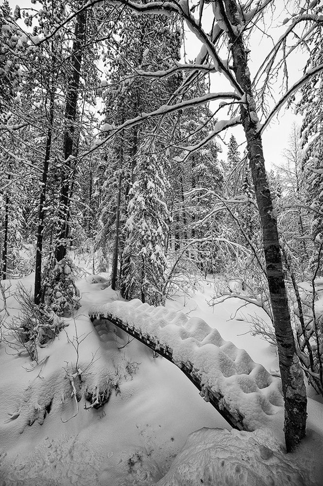 Photograph by Геннадий Субач