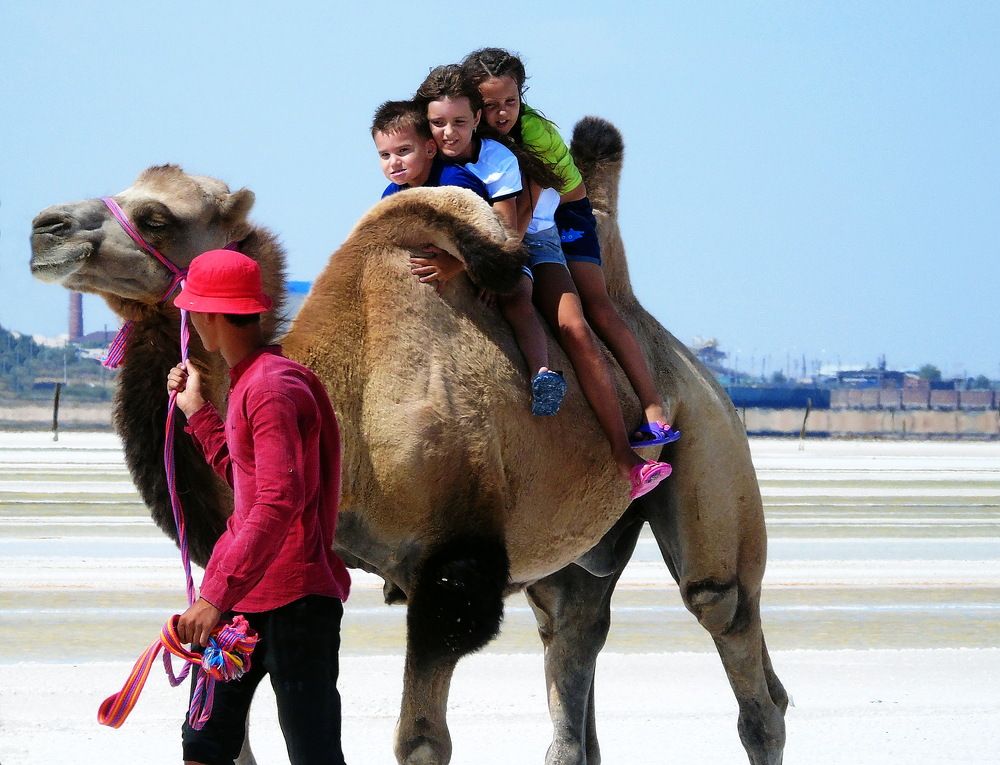 Ух, высоко!!!!!!