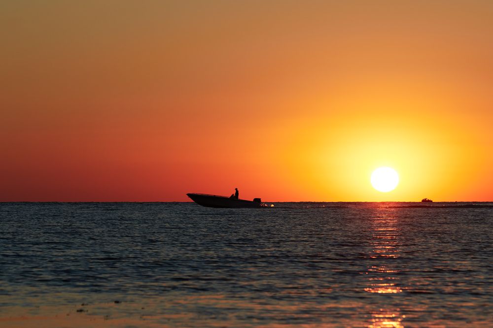 Photograph by Елена Загородская