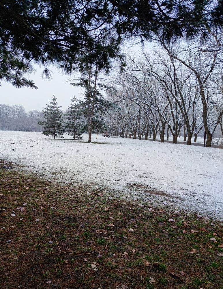 Photo #5703967