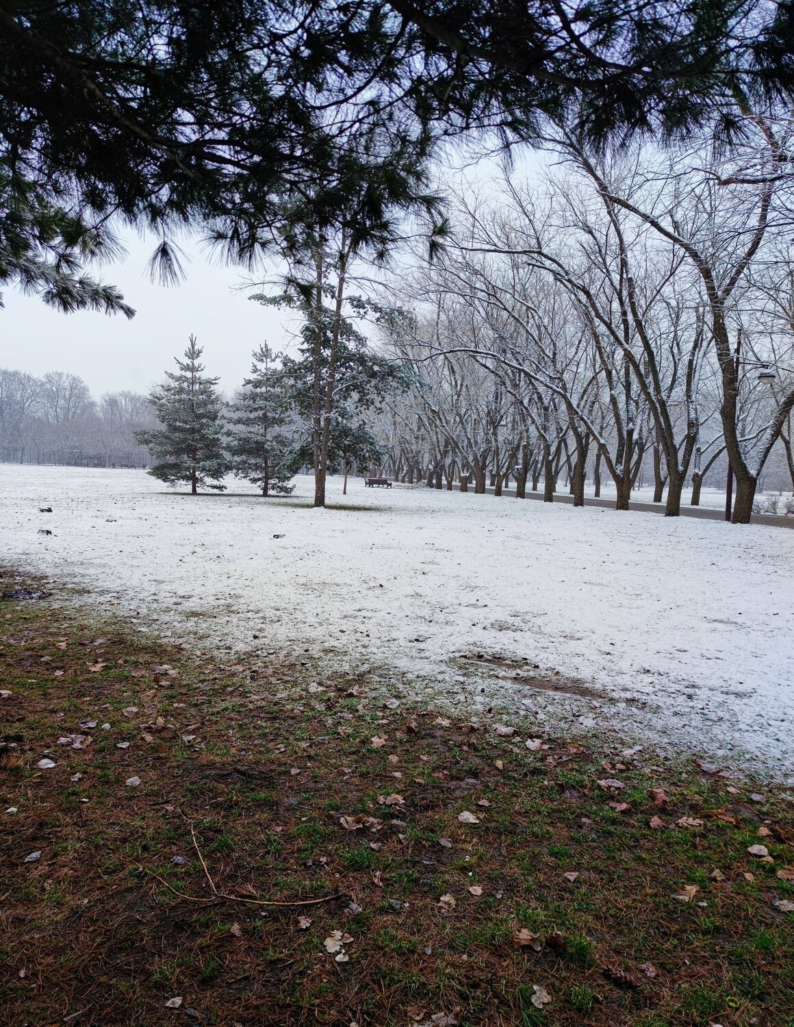 Photo #5703967