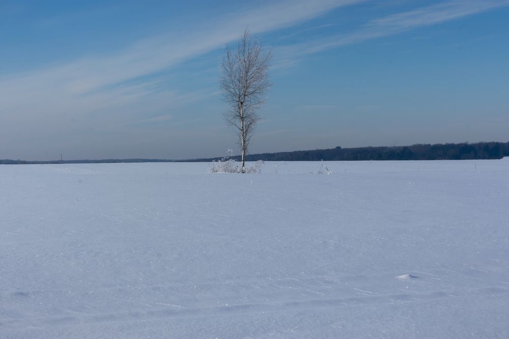 Photograph by Nikita Silyavin