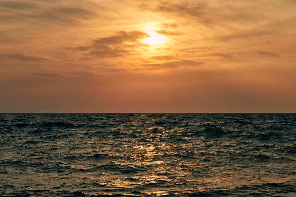 Photograph by Елена Загородская