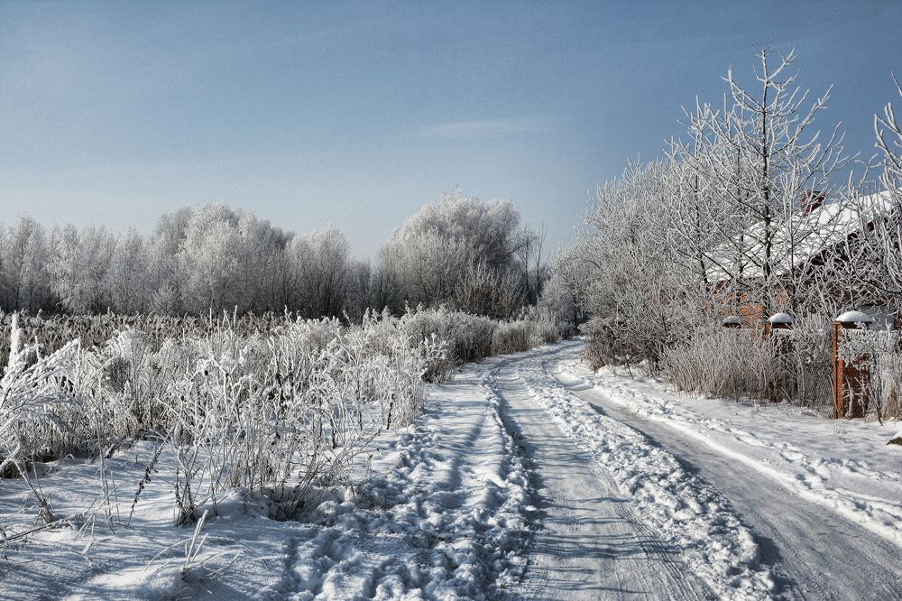 Photograph by Volkoff Mark