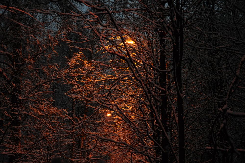 Photograph by Екатерина Носенко