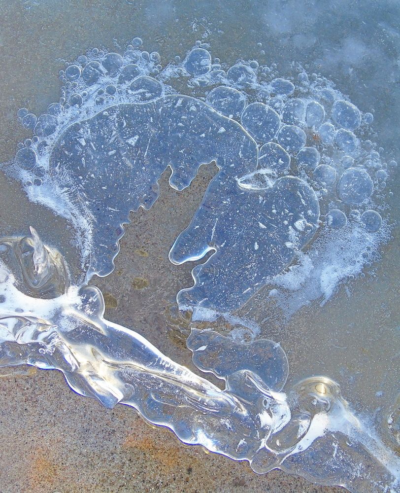 Пушкин ли на брегах Волги