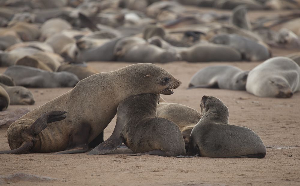 Photograph by Anne-Marie Vermaat