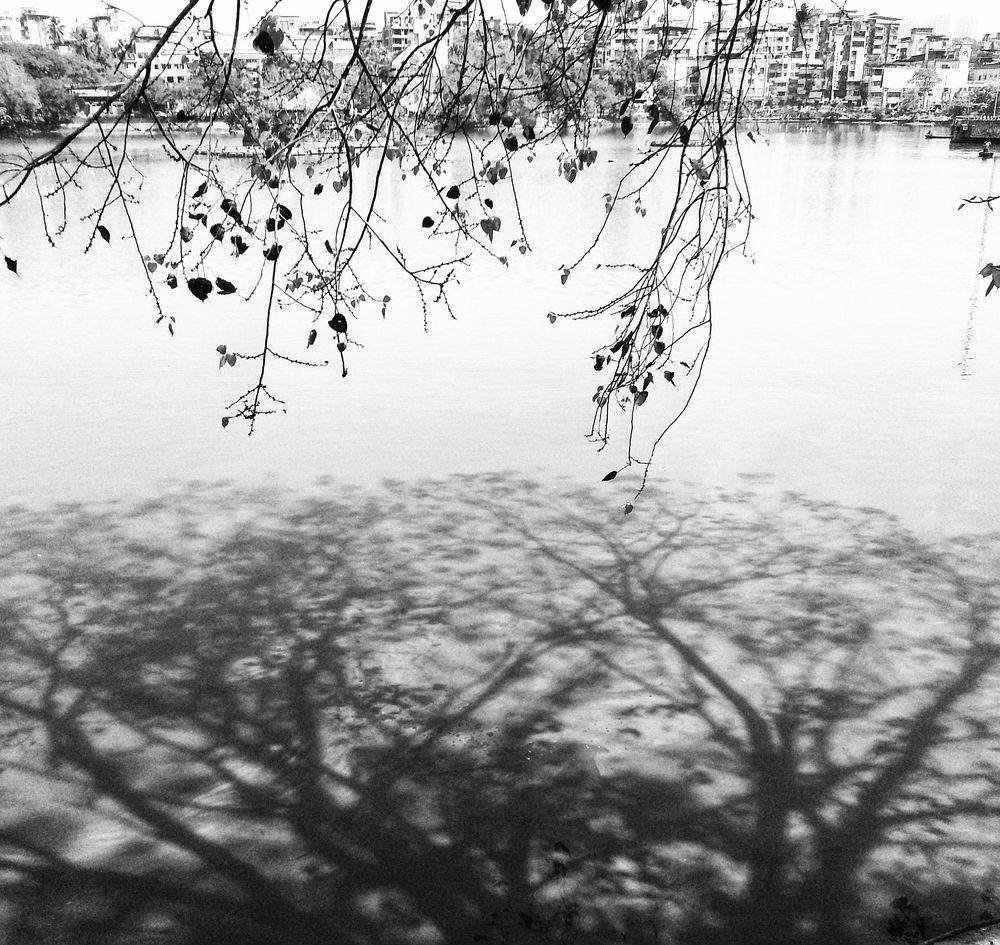 Photo #5704183