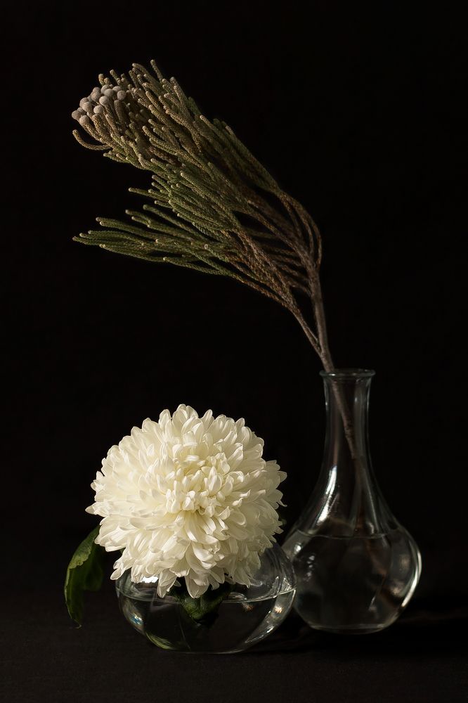 Фотография автора Елена Ельшина