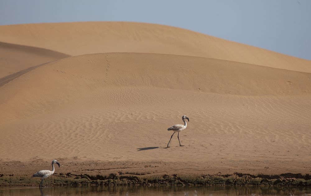 Photograph by Anne-Marie Vermaat