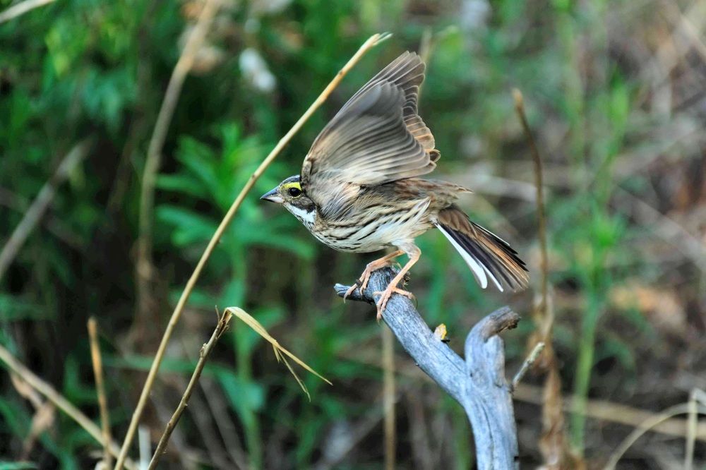 Photograph by Эльвира Быкова