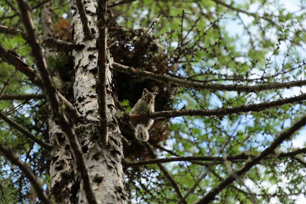 Photograph by Эльвира Быкова