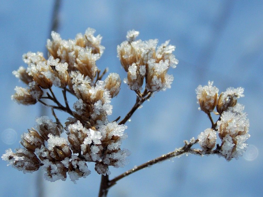 Photograph by Олександр Розум