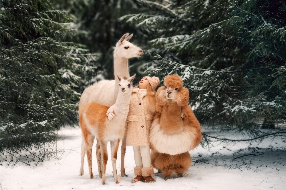 Photograph by Маргарита Черкасова