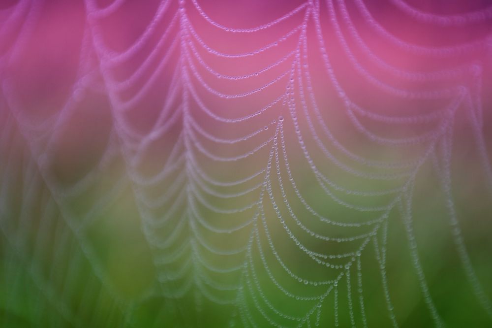 Photograph by Руслан