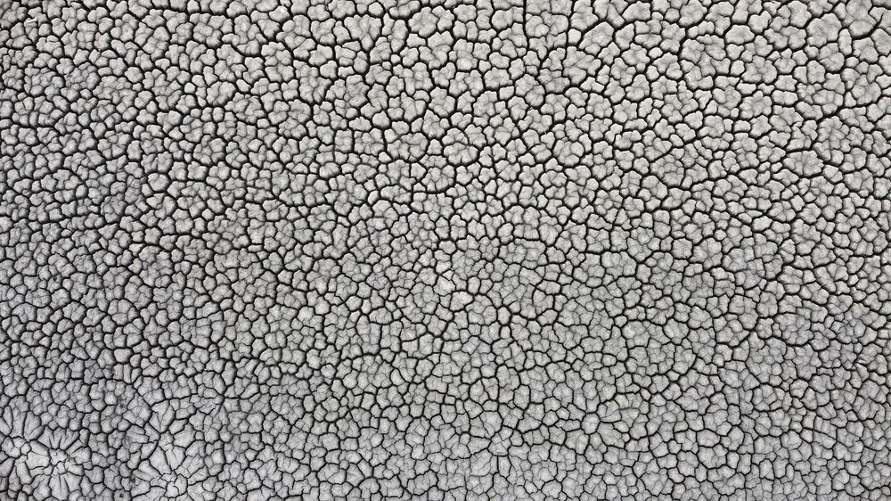 Photograph by Руслан