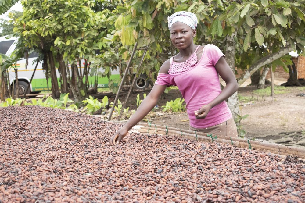 Woman cocoa farmer, in Ghana