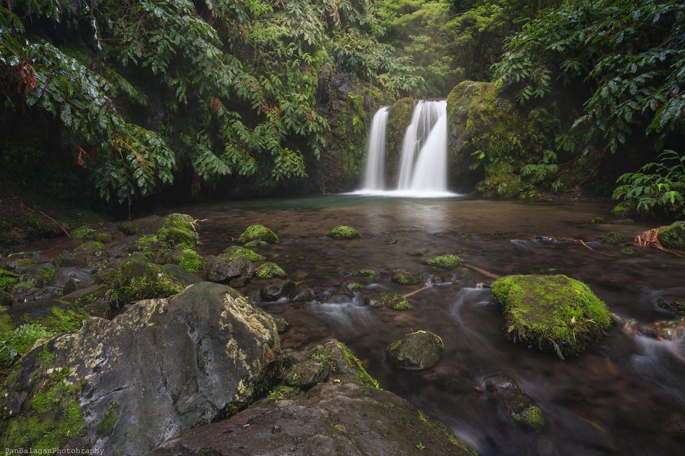 Photograph by Sebastian Rutkowski