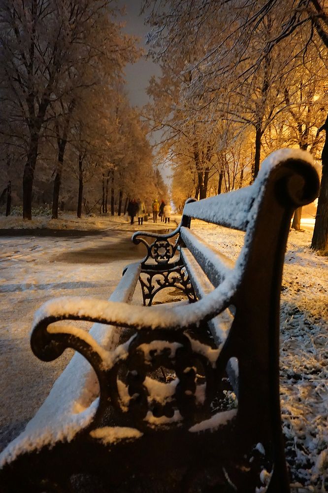 Фотография автора Елена Самофалова