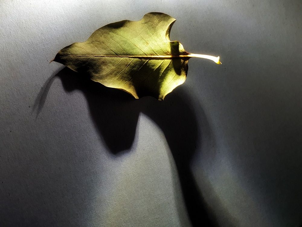 Photograph by Марина Курныш