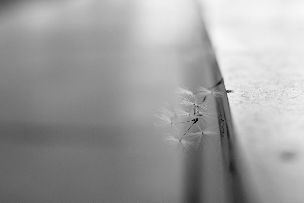 Photograph by Алексей Арестов