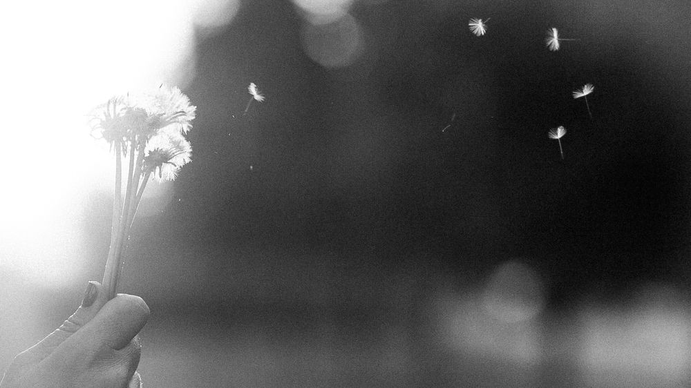 Photograph by Герман Касьяненко