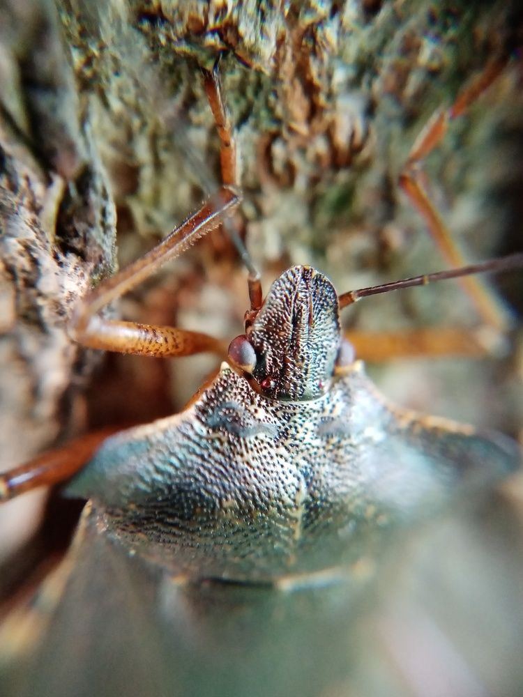 Photograph by Александра Лукашевич