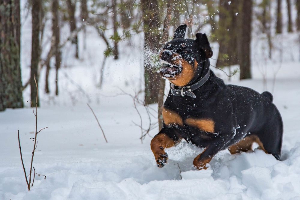 Photograph by Елена Прохорова