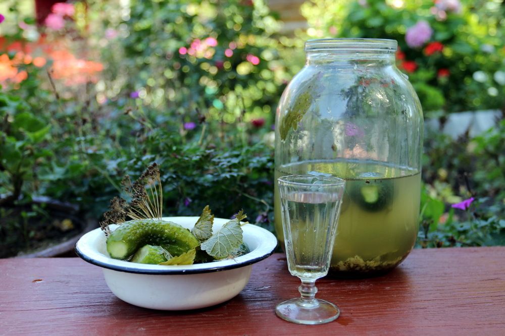 Фотография автора Елена Колосова