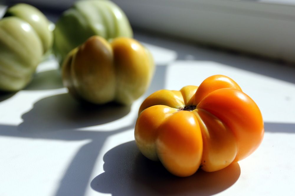 Фотография автора Елена Колосова