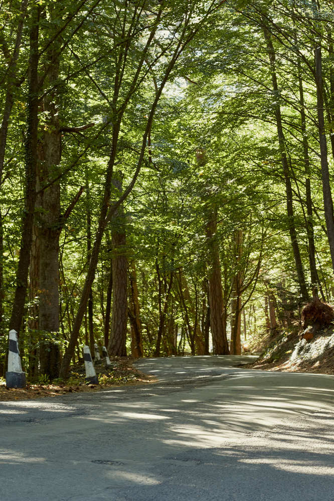 Photograph by Елена Загородская