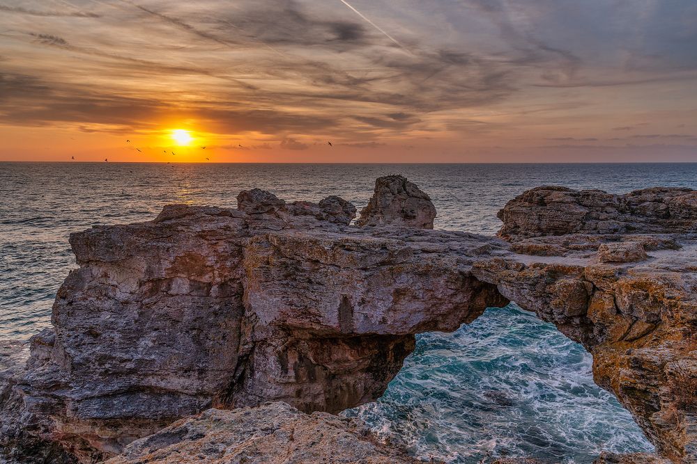 Photograph by Venelin Dimitrov