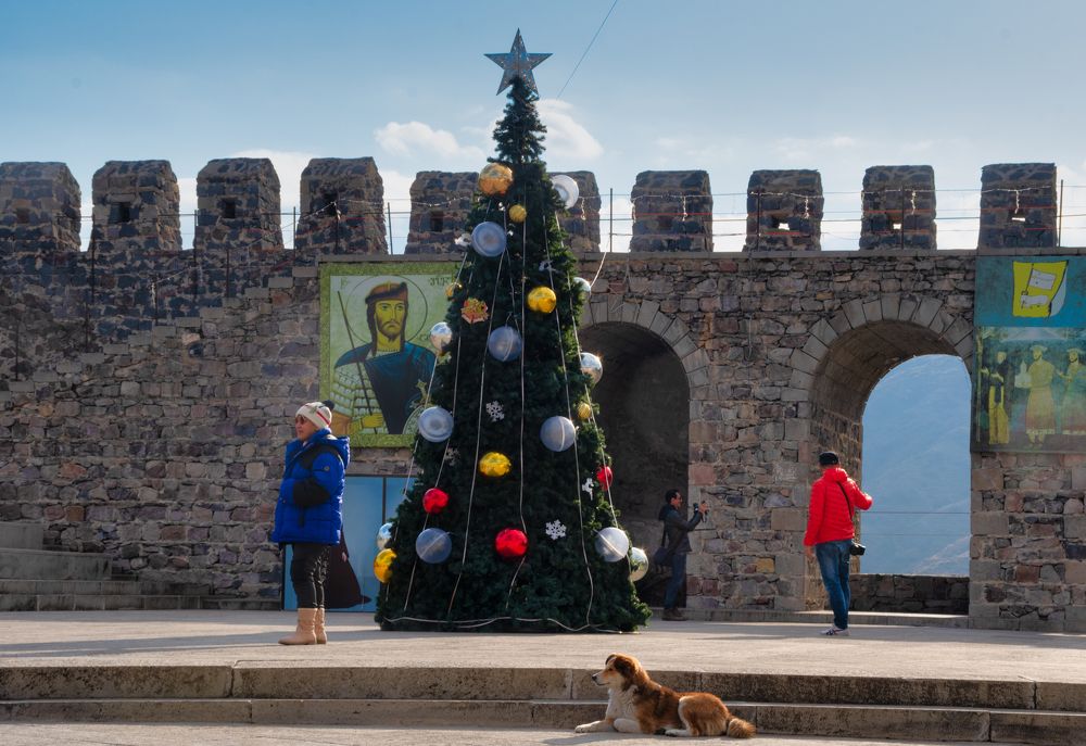 Photograph by Manjri Saxena