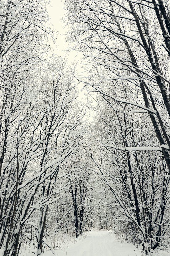 Photograph by Ксения Дубинина