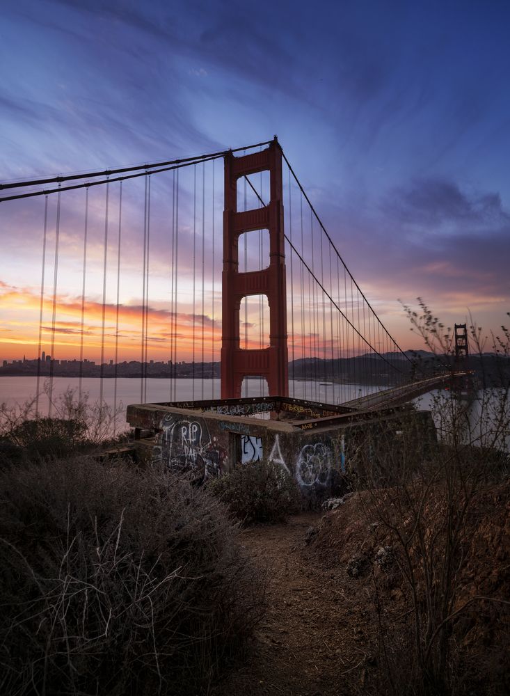 Фотография автора Philippe Newman