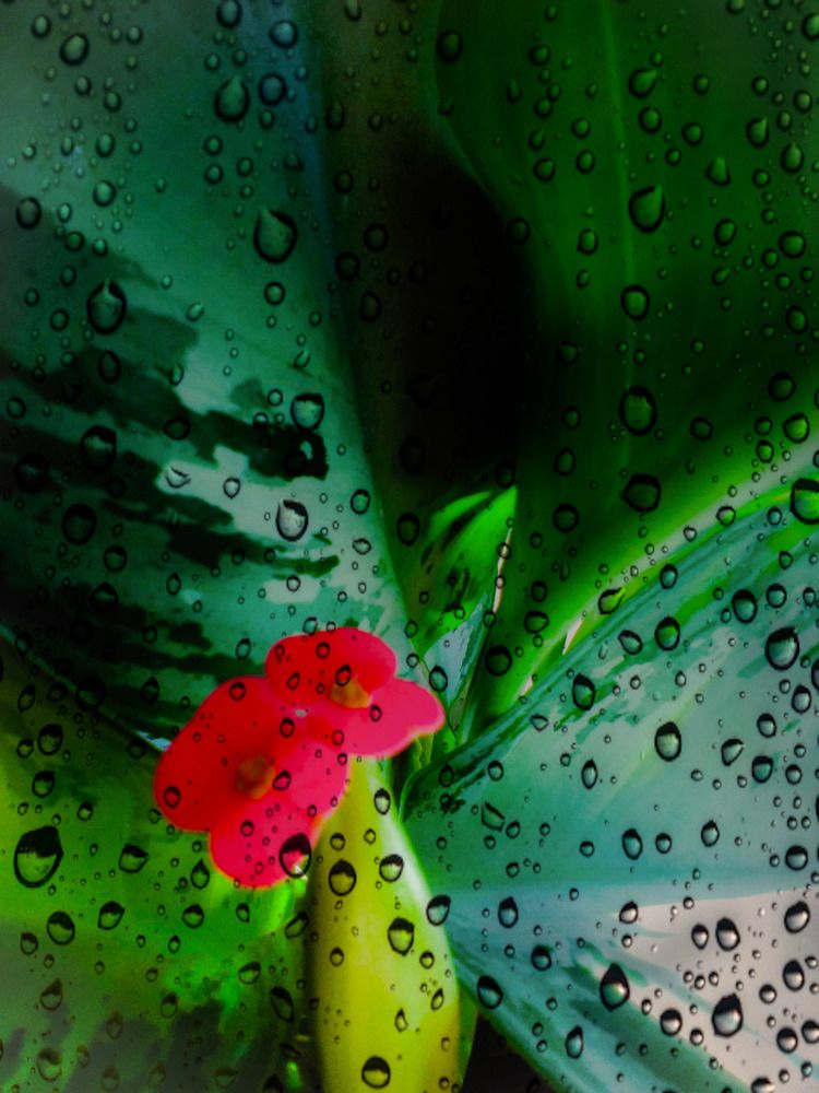 Фотография автора Yako Laverde