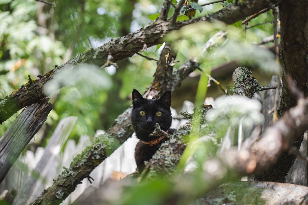 Photograph by Екатерина Аксёнова