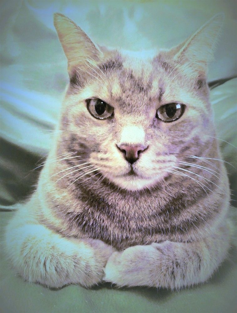 Photograph by Marina Eremin