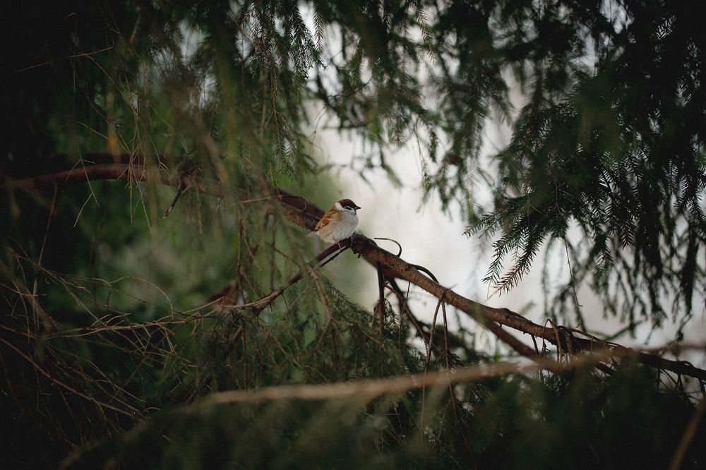 Photograph by Екатерина Аксёнова