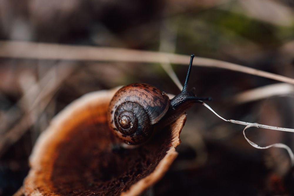 Photograph by Екатерина Аксёнова