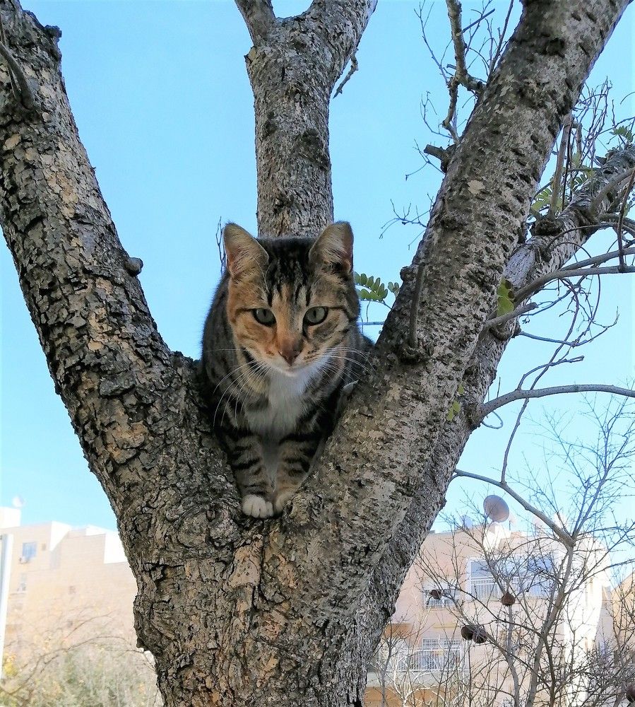 Photograph by Marina Eremin