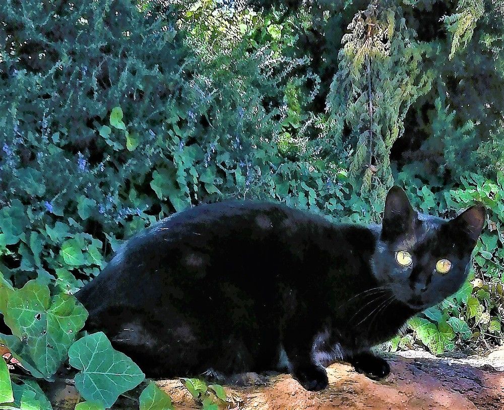 Photograph by Marina Eremin