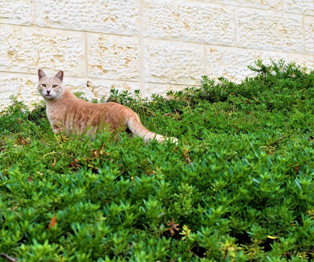 Photograph by Marina Eremin